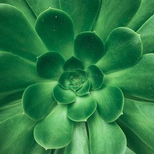 Meet your Posher, Jade